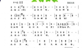 手指歌视频五指歌,手指舞动中的韵律与智慧