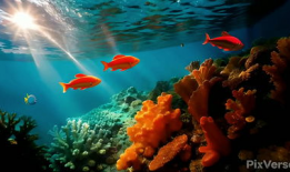 海洋视频,揭秘深海神秘世界