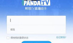 by91直播助手,轻松实现直播新体验