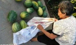 城固吃瓜最新事件爆料,揭秘背后惊人真相，网络热议持续升温